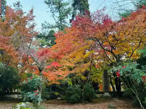 瑞巌寺(徳島県)