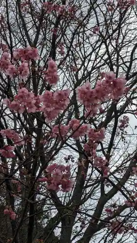 熊野若王子神社(京都府)