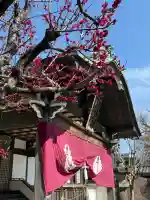 普門院の{uncategorized: "未分類", other: "その他", undefined: "問題あり", building: "その他建物", grave: "お墓", sacred_gate: "鳥居", guardian: "狛犬", statue: "像", buddha: "仏像", history: "歴史", nature: "自然", garden: "庭園", animal: "動物", pagoda: "塔", temizu: "手水舎", mountain_gate: "山門・神門", sanctuary: "本殿・本堂", subordinate: "末社・摂社", art: "芸術", scenery: "景色", jizo: "地蔵", ema: "絵馬", goshuin: "御朱印", omikuji: "おみくじ", items: "授与品その他", amulet: "お守り", goshuincho: "御朱印帳", eats: "食事", festival: "お祭り", votive_dance: "神楽", shichigosan: "七五三参", wedding: "結婚式", experience: "体験その他", initially: "初詣", around: "周辺", anti_infection: "感染症対策"}