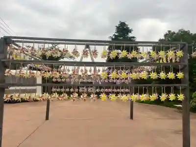川越氷川神社(埼玉県)