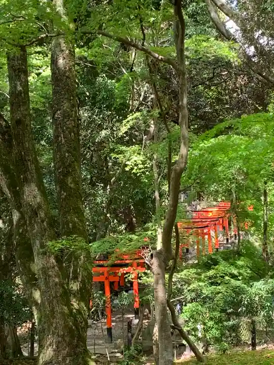 賀茂別雷神社(上賀茂神社)(京都府)