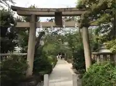 鳩森八幡神社の鳥居