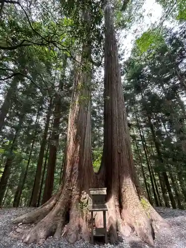 三峯神社(埼玉県)