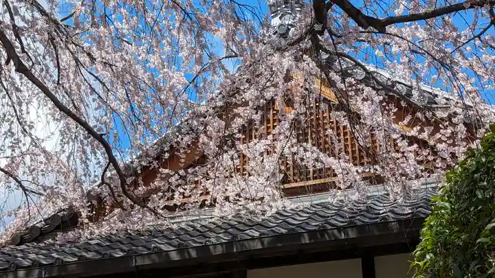 本満寺(本願満足寺)(京都府)
