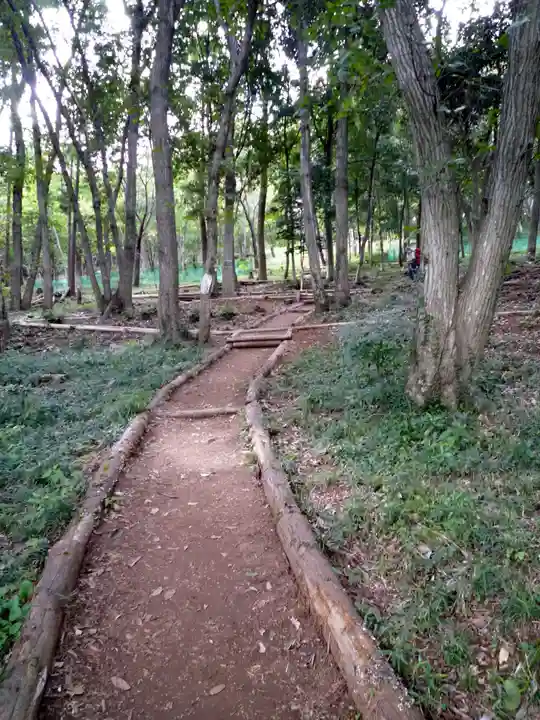 金刀比羅神社の自然