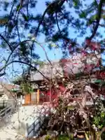 玄国寺(東京都)