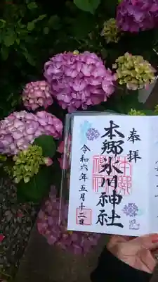 五月の御朱印✨