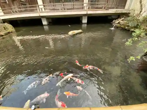 子安神社の庭園