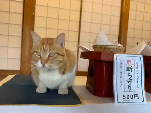 八枝神社の動物