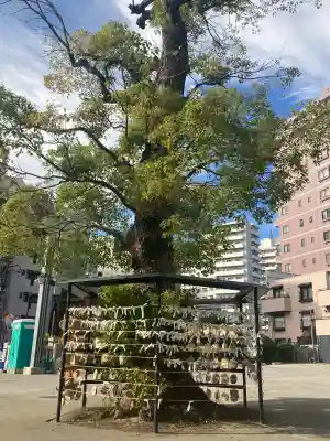 亀有香取神社(東京都)