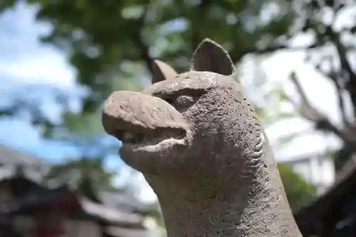 伊奈利神社の狛犬