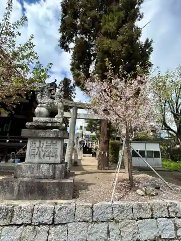 才ノ木神社(広島県)