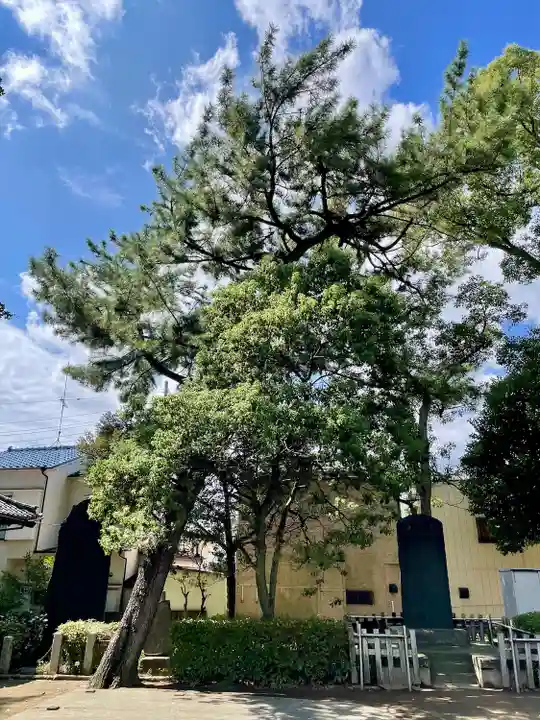 柴又八幡神社(東京都)