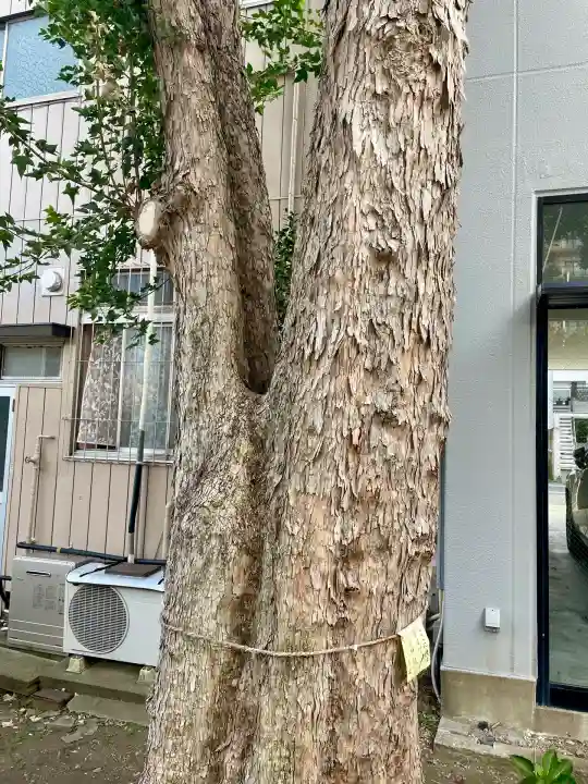 諏訪八幡神社(茨城県)
