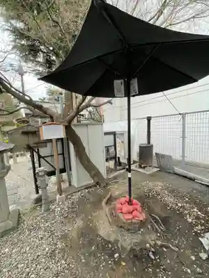 晴明神社（清明山）のその他建物