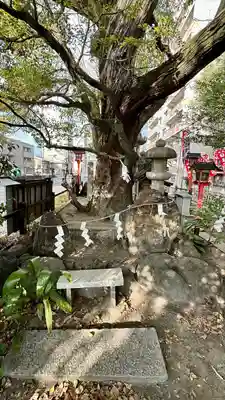 若一神社(京都府)