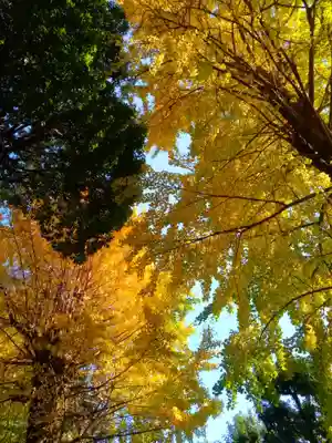 駒込天祖神社(東京都)