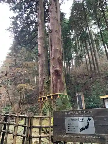 御岩神社の自然