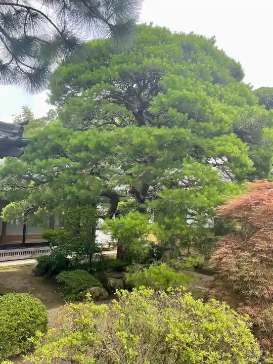 光明寺(宮城県)
