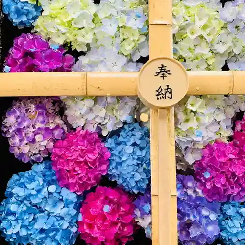 土津神社｜こどもと出世の神さまの手水