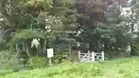 起松神社の自然