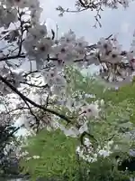 旗上弁財天社の自然