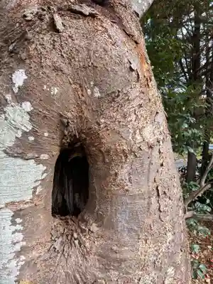 岩井神社(千葉県)