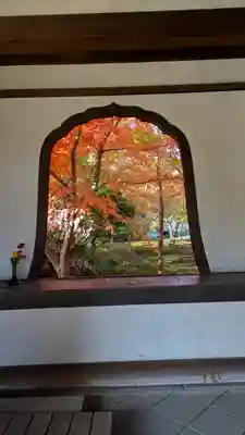 興聖寺(京都府)