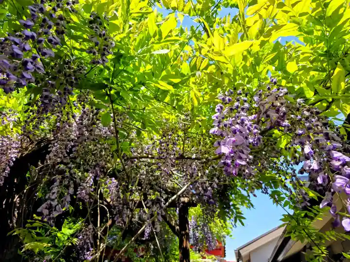 藤神稲荷神社(東京都)