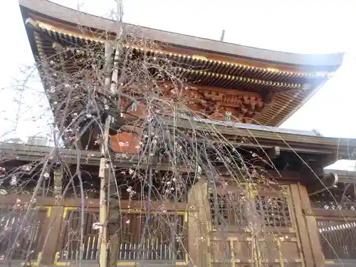 湯島天満宮(東京都)