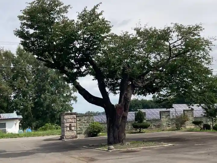 真浄寺(北海道)