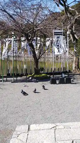 鶴岡八幡宮の動物