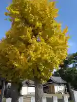 八幡社(愛知県)