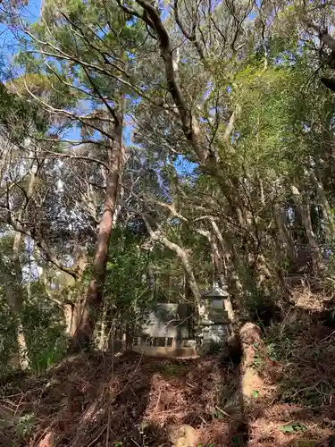 天津日神社の本殿・本堂