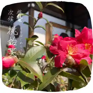 總社 和田八幡宮(福井県)(2022年03月09日(水) 19時52分49秒投稿)