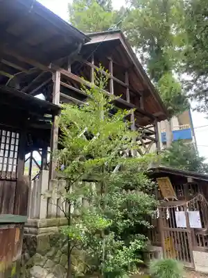 八雲神社(栃木県)