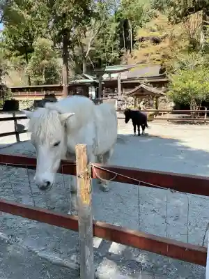 丹生川上神社(下社)(奈良県)
