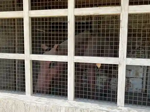 竹鼻八剱神社(八剣神社)(岐阜県)