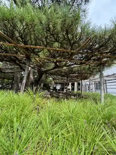 高砂神社の建物その他