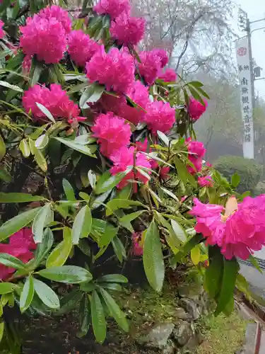 播州清水寺の自然