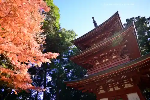 目の霊山　油山寺(静岡県)