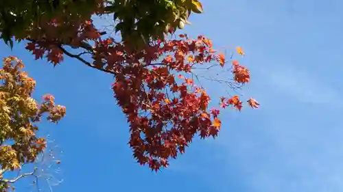 正法寺(京都府)