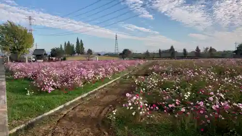 寅稲荷神社の自然