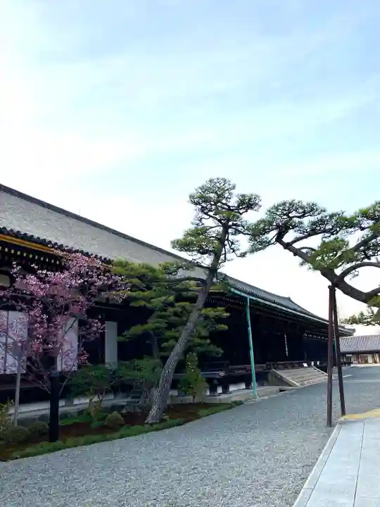 蓮華王院(三十三間堂)の本殿・本堂