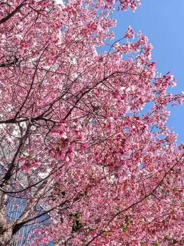 赤坂氷川神社(東京都)