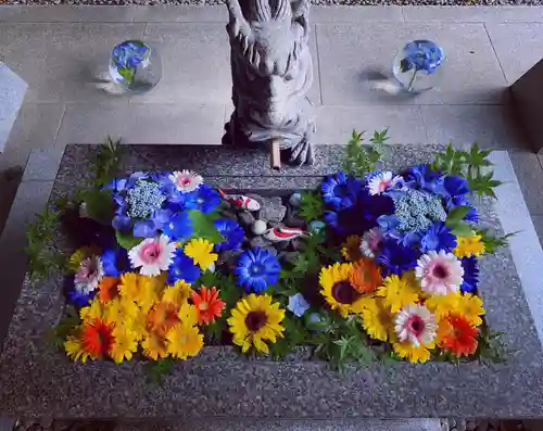 滑川神社 - 仕事と子どもの守り神の手水舎