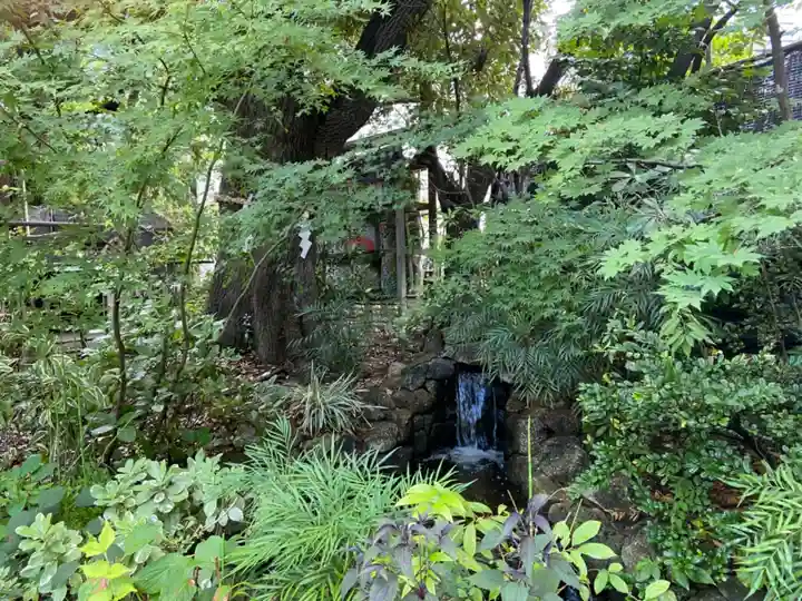 東京大神宮の庭園