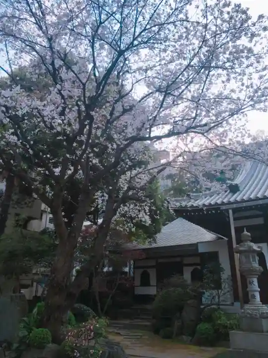 成願寺のその他建物