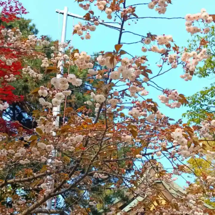彌彦神社 (伊夜日子神社)の自然