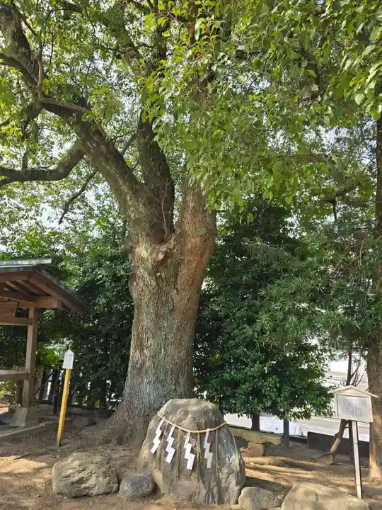 鶴崎大神宮(大分県)